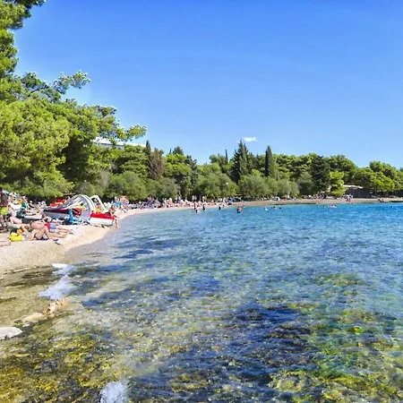 Dejana Vodice